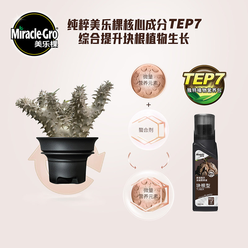 美乐棵块根营养液龟甲龙象牙宫龙舌兰盆栽肥促生根不烧苗改良土壤,淘宝优惠券,粉丝福利购,淘宝优惠卷