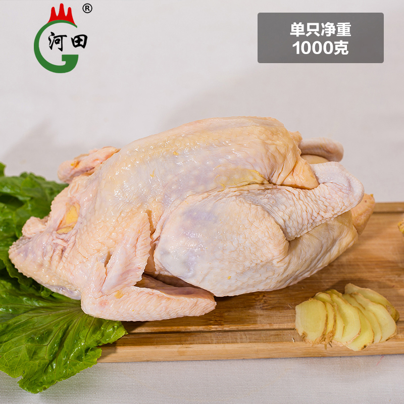 河田牌长汀河田鸡飞鸡活体农家散养土鸡汤月子白切新鲜母鸡肉整只 - 图1