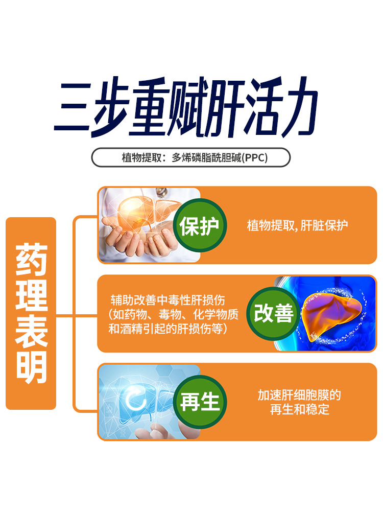 易善复多烯磷脂酰胆碱胶囊36粒治疗酒精肝的药脂肪肝赛诺菲非德国-图2