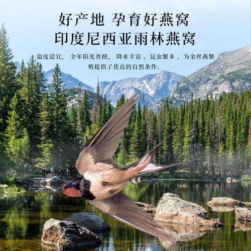 杰瑞氏印尼燕窝孕妇滋补品金丝燕官燕白燕盏溯源码进口干盏 - 图1