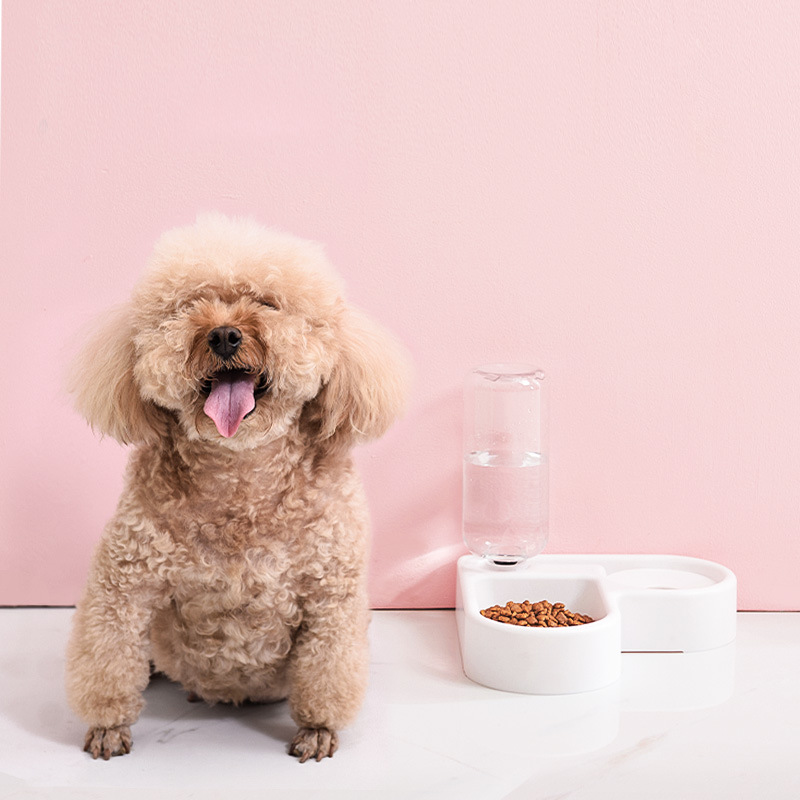 新疆包邮哥墙角狗碗中小型犬食盆猫碗自动猫咪饮水器转角宠物碗 - 图0