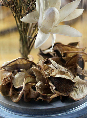 简约现代风样板房仿真玻璃罩摆件