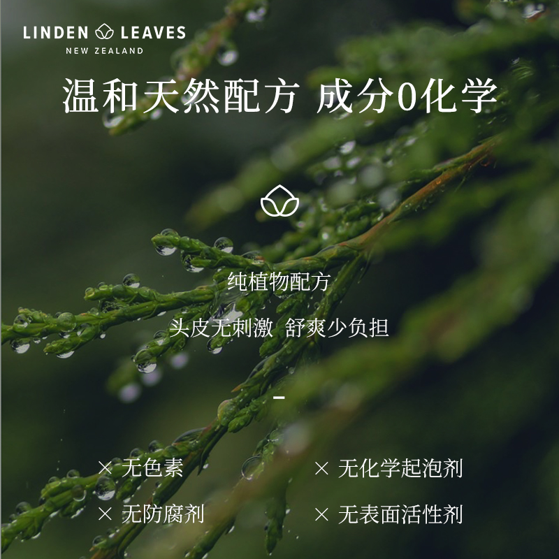 Lindenleaves迷迭香天然无硅油洗发水深层清洁滋养丰盈蓬松300ml