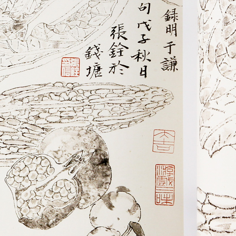 《白描草虫》《白描花卉蔬果》套装 定价：116 张铨 中国美术学院 正版品牌直销 满58包邮 - 图3