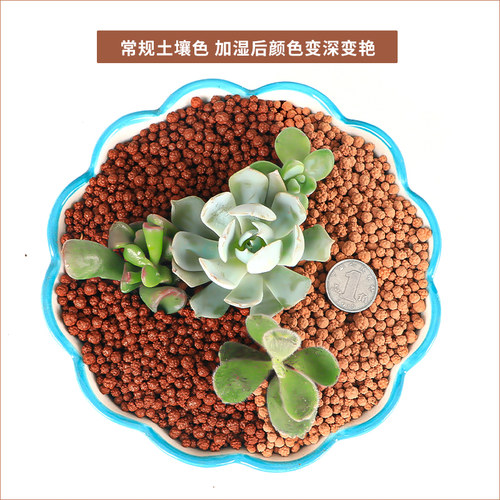 多元土纯颗粒活力土全颗粒透气铺面石球球土多肉肉植物专用营养土 - 图1