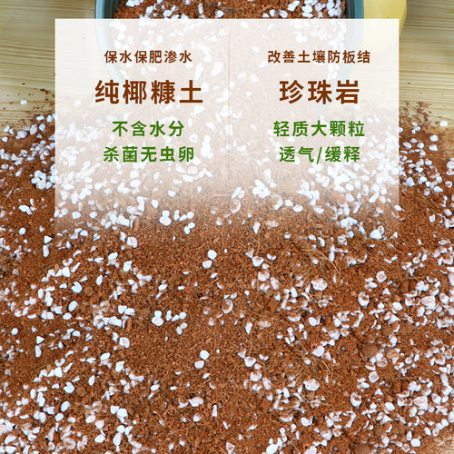 绿萝专用土营养土绿箩扦插移栽透气土壤养花种植土绿萝多肉土包邮 - 图1