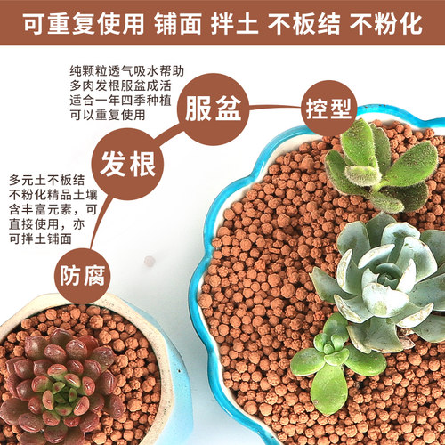 多元土纯颗粒活力土全颗粒透气铺面石球球土多肉肉植物专用营养土 - 图2