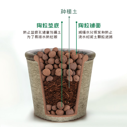 陶粒透气垫底陶粒球多肉营养土种养花用盆栽石陶土粒水培铺面回填 - 图2