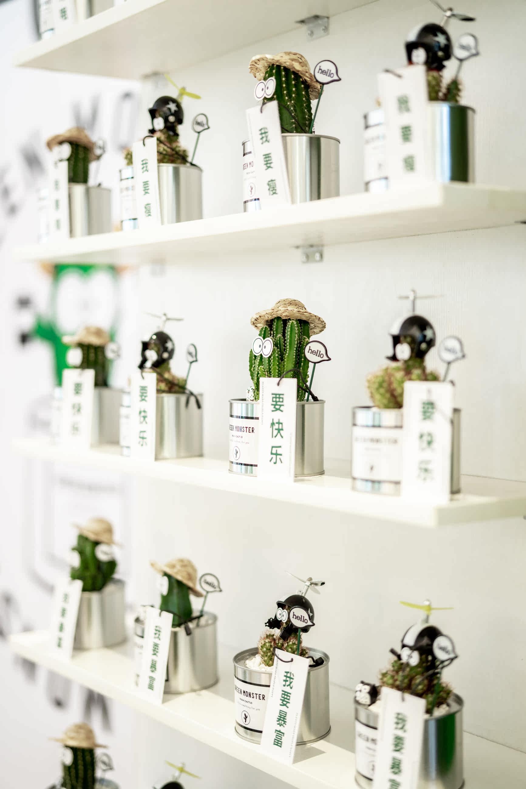 ins 创意可爱治愈 节日礼品 小型办公室桌面绿植盆栽 铁罐仙人掌,淘宝优惠券,粉丝福利购,淘宝优惠卷