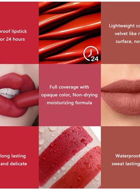 12 color lipstick matte fog lipstick lip glaze waterproof no