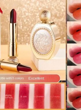 5In1 Velvet Mist Lipstick Long-lasting Moisturize Lip Gloss