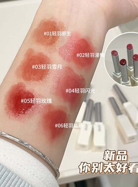 Velvet Mist Lipstick Long-lasting Waterproof Hide Lip Lines