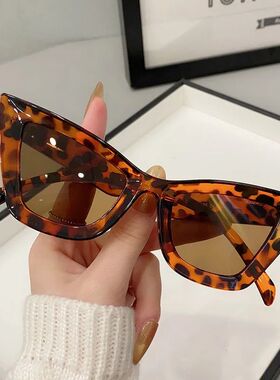 Big Frame Vintage Square Sunglasses Women Men Cat Eye Sun Gl