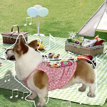 Summer Pet Dog Corgi Internet Celebrity Clothes Summer Thin Cotton Anti-Shedding Vest Shiba Inu Medium Dog Breathable
