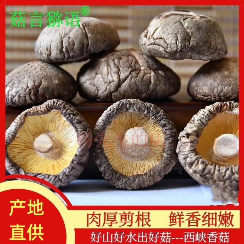 菇言猕语西峡香菇新货南北干货500g精选厚菇无根干净大小可选商用