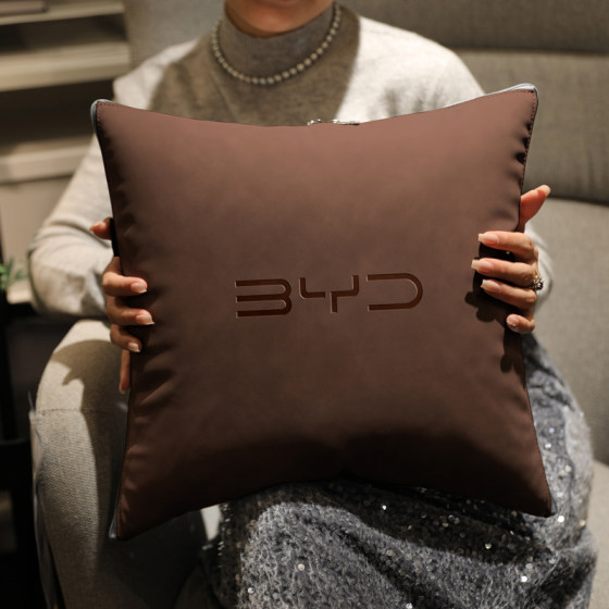 BYD pillow quilt dual-purpose folding Qin high-end luxury car