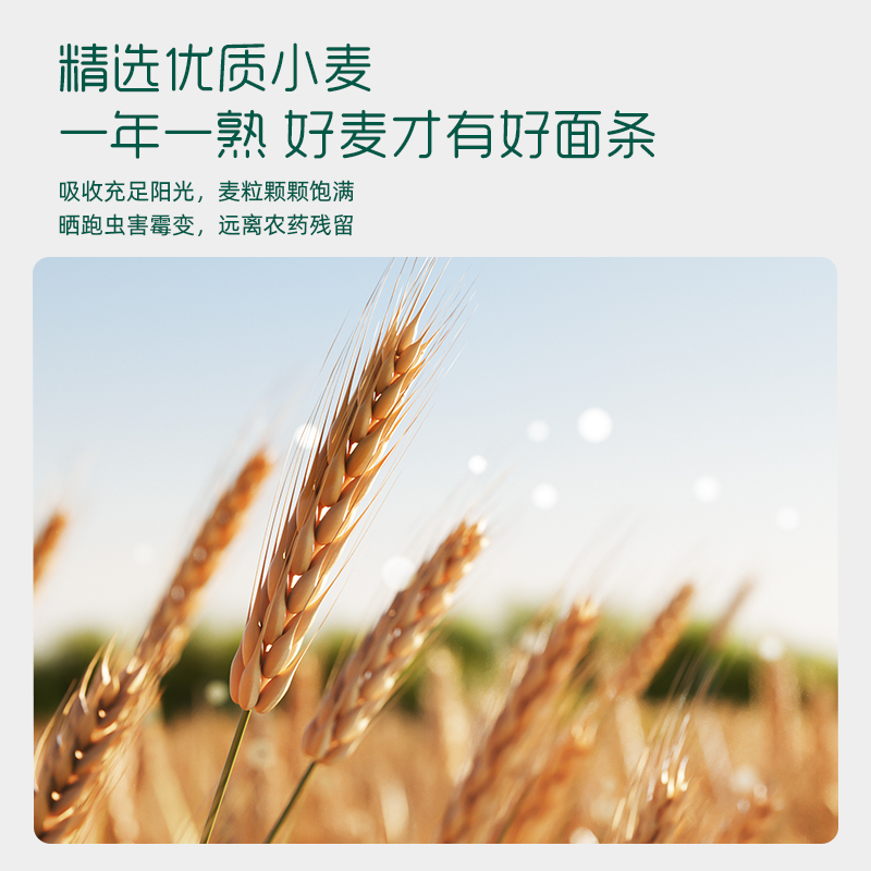 拍3盒装英氏婴幼面条无添加食用盐宝宝辅食