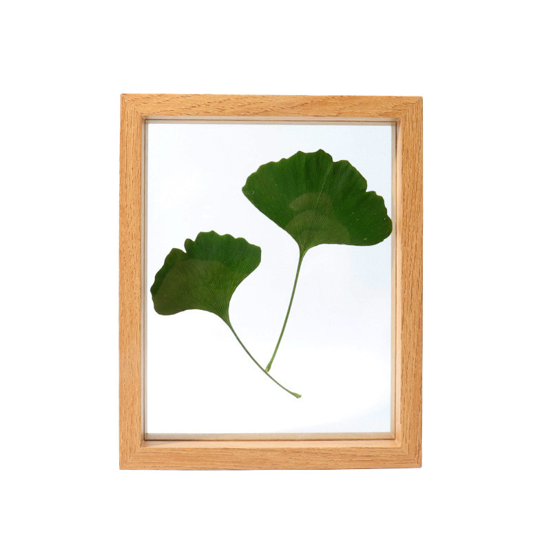 树叶标本框标本夹植物干花正方形A4剪纸diy画框 双面玻璃相框摆台