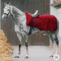 QHP Cashmere Red Blue Training Horse Clothing