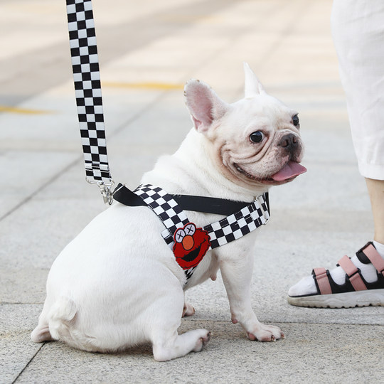 Trendy brand dog leash small and medium-sized dog KAJIPET