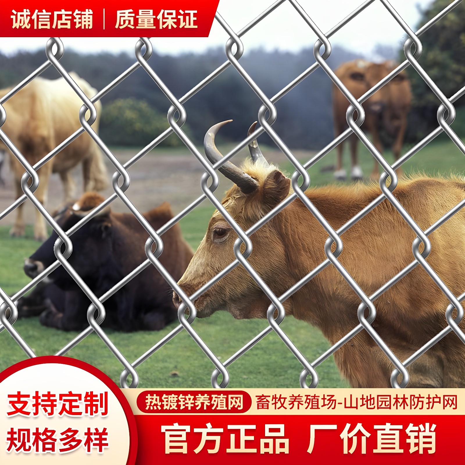 热镀锌铁丝网勾花网养殖猪牛羊隔离网养鸡围栏网圈地果园防护栅栏,淘宝优惠券,粉丝福利购,淘宝优惠卷