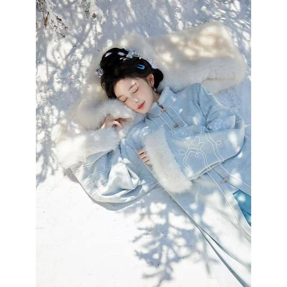 日常可穿明制汉服七月夕原创汉服 寒竹白雁 立领对襟长衫长比甲马,淘宝优惠券,粉丝福利购,淘宝优惠卷