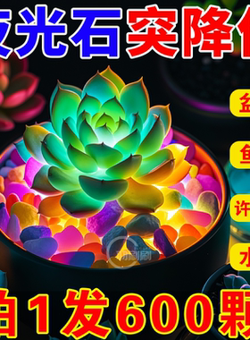 七彩夜光石庭院造景diy发光石龟缸鱼缸装饰水族箱造景石夜光石