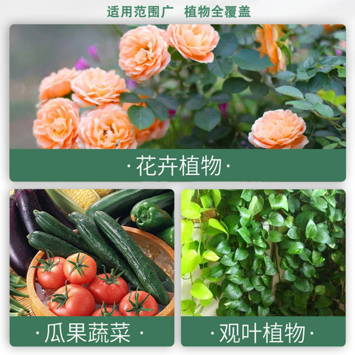 农用小苏打除虫杀菌增产种菜叶面肥碳酸氢钠农作物花卉蔬菜果树,淘宝优惠券,粉丝福利购,淘宝优惠卷