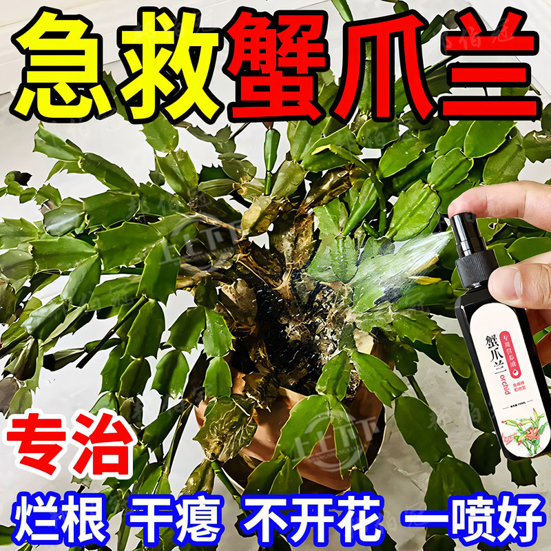 蟹爪兰专用肥料养花肥料蟹爪兰四季开花营养液免稀释养花通用肥料,淘宝优惠券,粉丝福利购,淘宝优惠卷