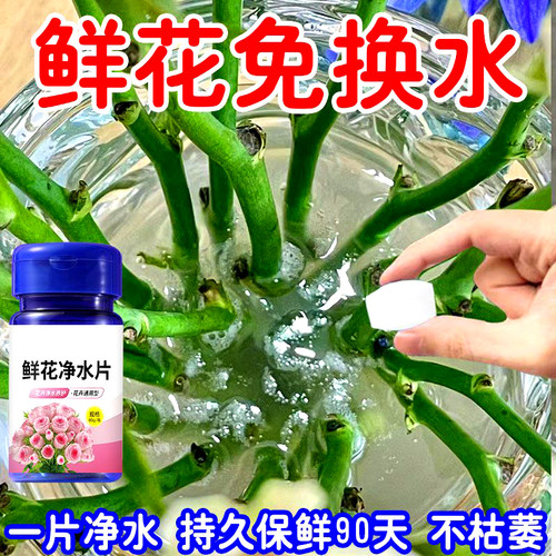 新升级鲜花绿植专用泡腾片二氧净水化氯保鲜除臭插花鲜切花卉醒花 - 图2