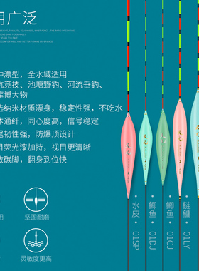 武汉天全系列鲢鳙浮漂