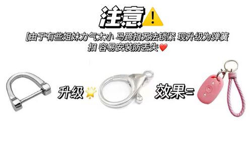 爱玛雅迪Q6小蜜豆电动车钥匙套小乐购AM1电瓶车遥控器套包艾玛 - 图2
