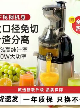 德国不锈钢榨汁机渣汁分离家用小型全自动果蔬多功能原汁机果汁机