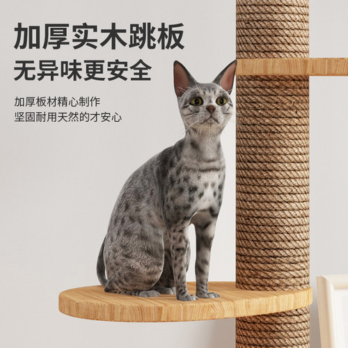 猫爬架通天柱猫跳台顶天立地猫抓柱猫窝猫树一体实木通顶猫架猫柱 - 图2