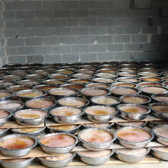 The ancient method of ethnic minority dyes starts with 0 cylinders of Guizhou indigo plant dyeing