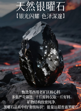 天然黑曜石醒狮手串招财转运珠