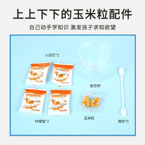 上上下下的玉米粒化学科学实验学校手工DIY学生创意作业科技制作 - 图1