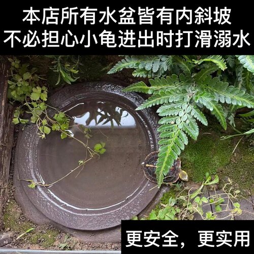 萌乾黄缘龟分体式水盆泡澡盆半水龟饮水盆紫砂手工 - 图3