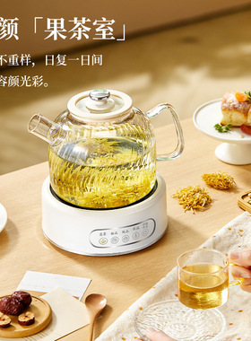 养生壶加热温茶炉煮茶壶带底座家用酒店餐厅煮茶器玻璃花茶壶套装