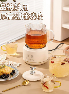 多功能花茶壶迷你养生壶家用办公室小型养生杯煮茶热牛奶电炖杯