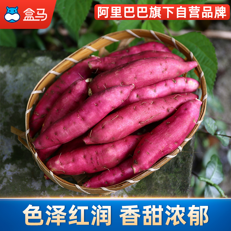 盒马鲜生旗舰店【新薯上市】盒马现挖天目山小香薯3/5斤新鲜番薯烤红薯板栗蜜薯1