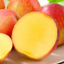 Box Horse Shanxi Oil Peach China Oil 5 Number Peach Fresh Fruit Honey Peach Great Fresh Peach When Season Full Box Refute Li