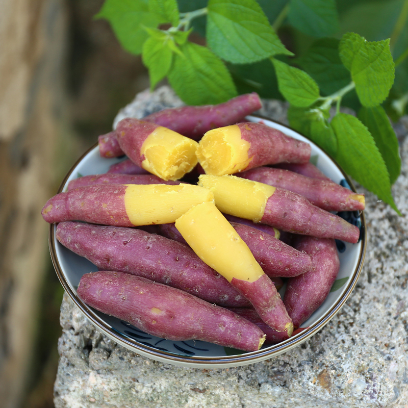 盒马鲜生旗舰店【新薯上市】盒马现挖天目山小香薯3/5斤新鲜番薯烤红薯板栗蜜薯3