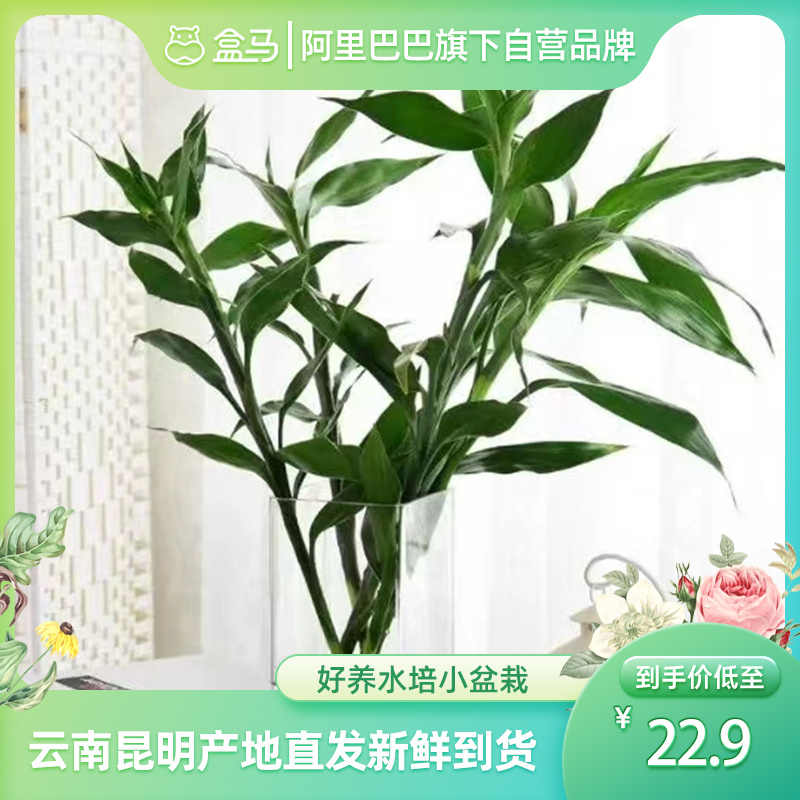 水植净化 新人首单立减十元 22年7月 淘宝海外 水植净化 新人首单立减十元 22年7月 淘宝海外