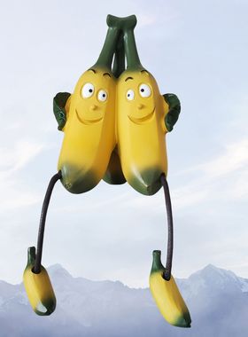 新品果蔬菜桌面户外庭院家居