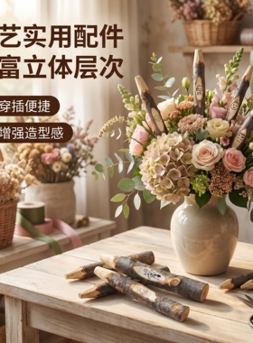 削尖树杈插枝固定摆件免打理造景