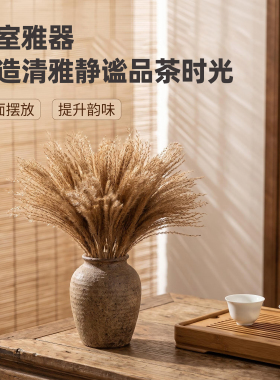 细芦苇干花桌面插花摆件田园陈设