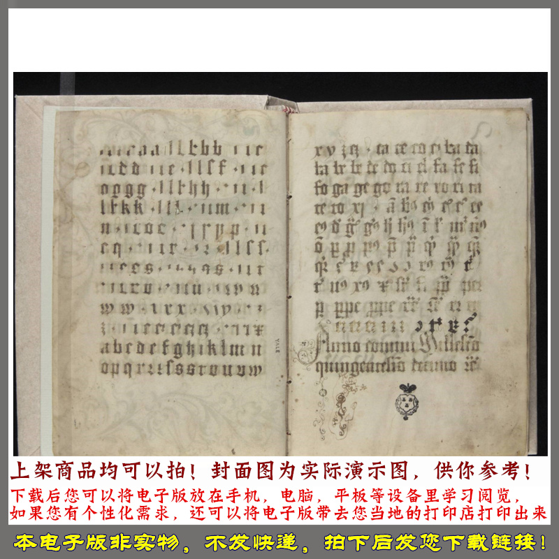 Scribal pattern book.Bock.Gregorius.中世纪文艺复兴时期 - 图0