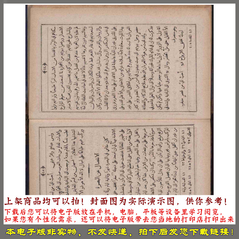 1888历史想象作品和平之城的 YI SI LAN 文明 - 图3