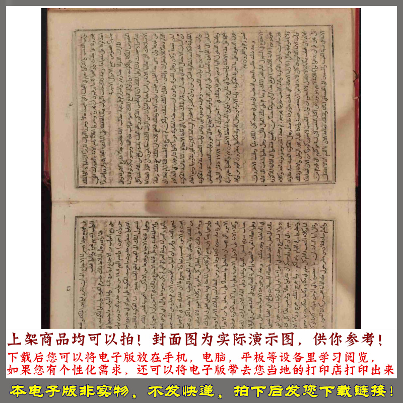 1884年 萨利姆布斯塔尼现代法国历史 - 图3